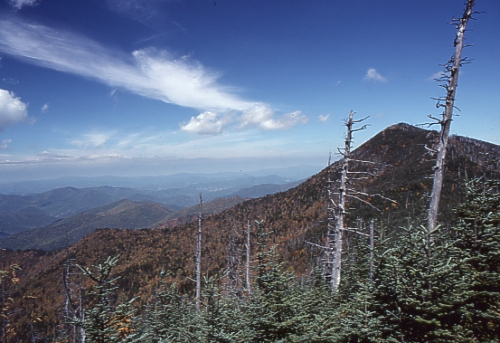 Mt. Craig summit