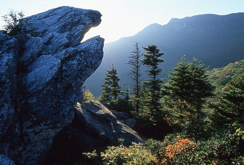 Grandfather Mountain from the Tanawha Trail