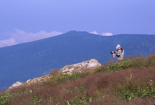 Roan High Bluff and High Knob from Grassy Ridge